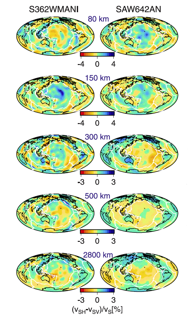 anisotropic velocity variations in S362ANI and S362WMANI